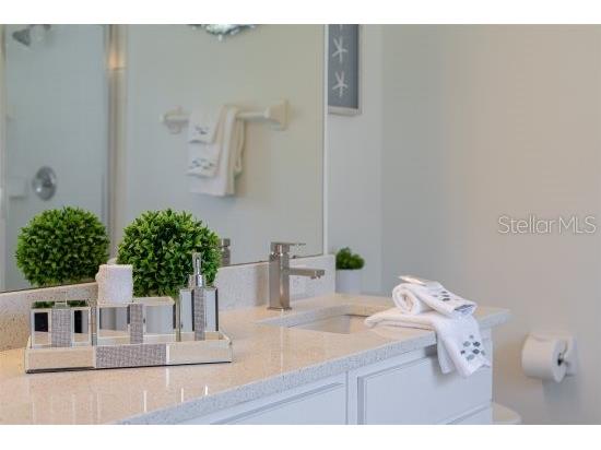 926 Balmoral Drive Davenport FL 33896 S5127023 image22