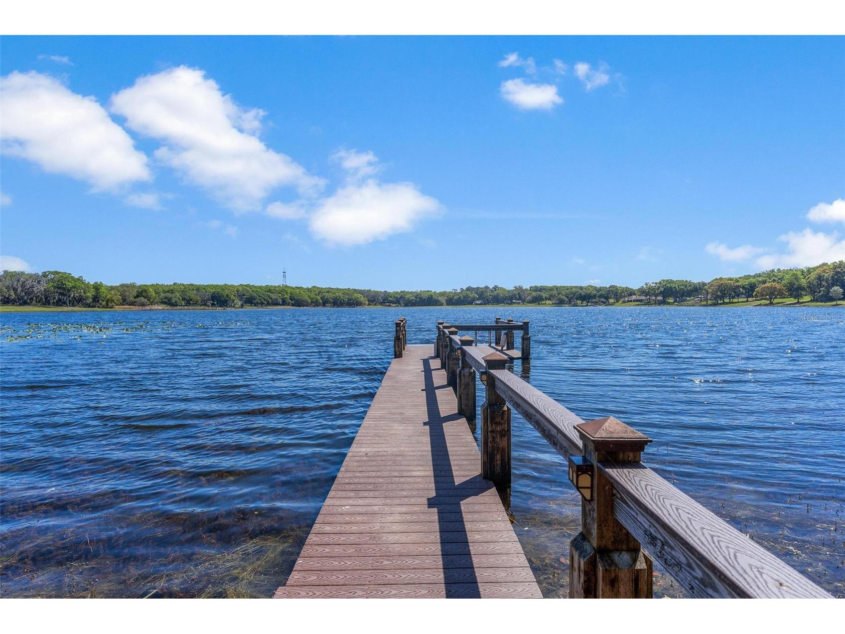 926 Hawk Landing Fruitland Park FL 34731 - Myrtle G5109780 image3