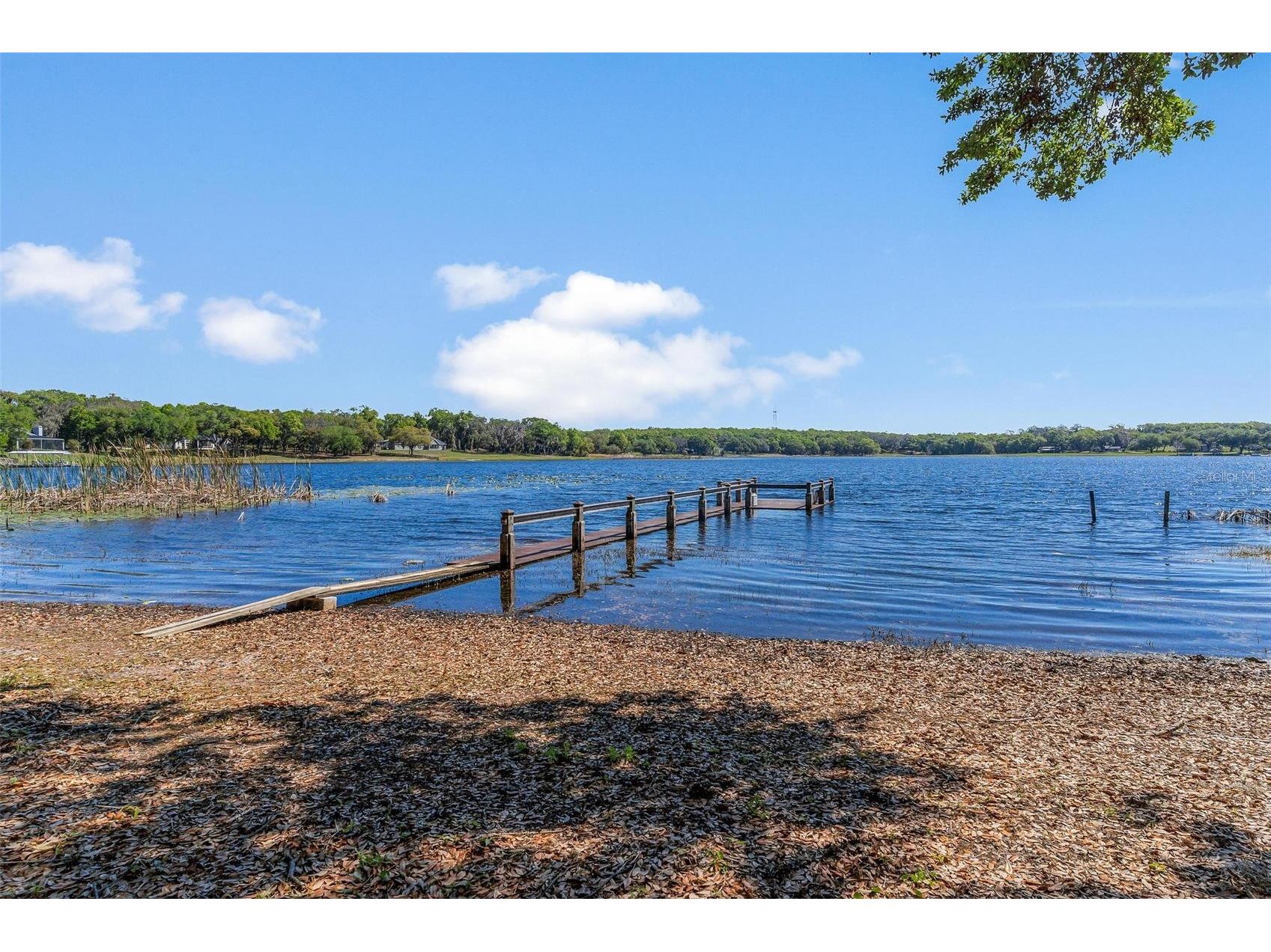 926 Hawk Landing Fruitland Park FL 34731 - Myrtle G5109780 image4