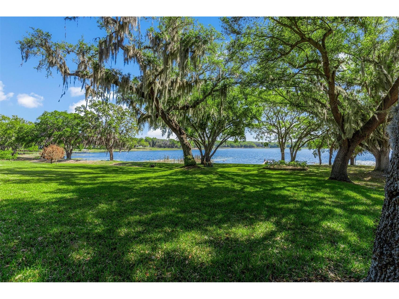 926 Hawk Landing Fruitland Park FL 34731 - Myrtle G5109780 image56