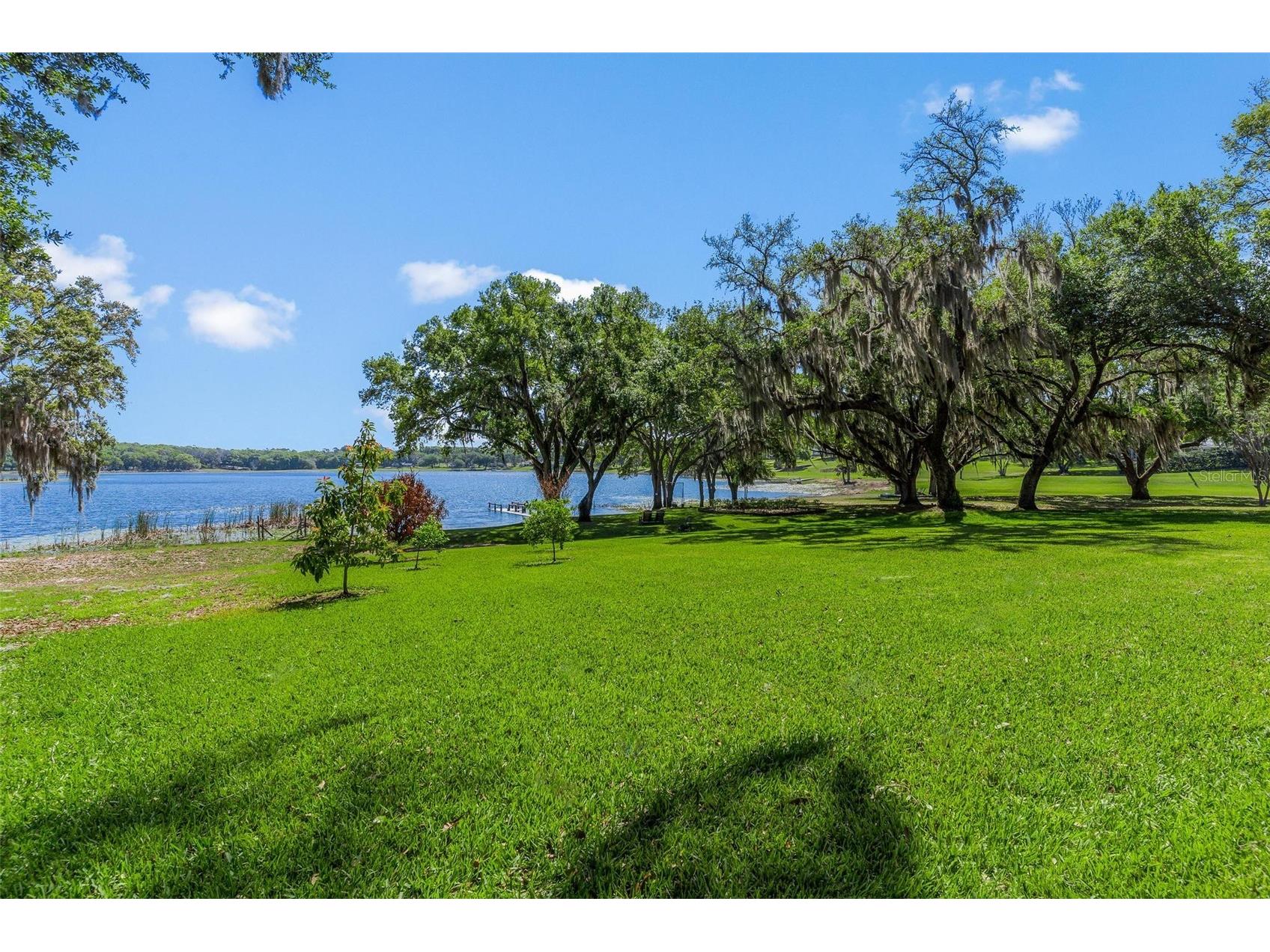 926 Hawk Landing Fruitland Park FL 34731 - Myrtle G5109780 image57