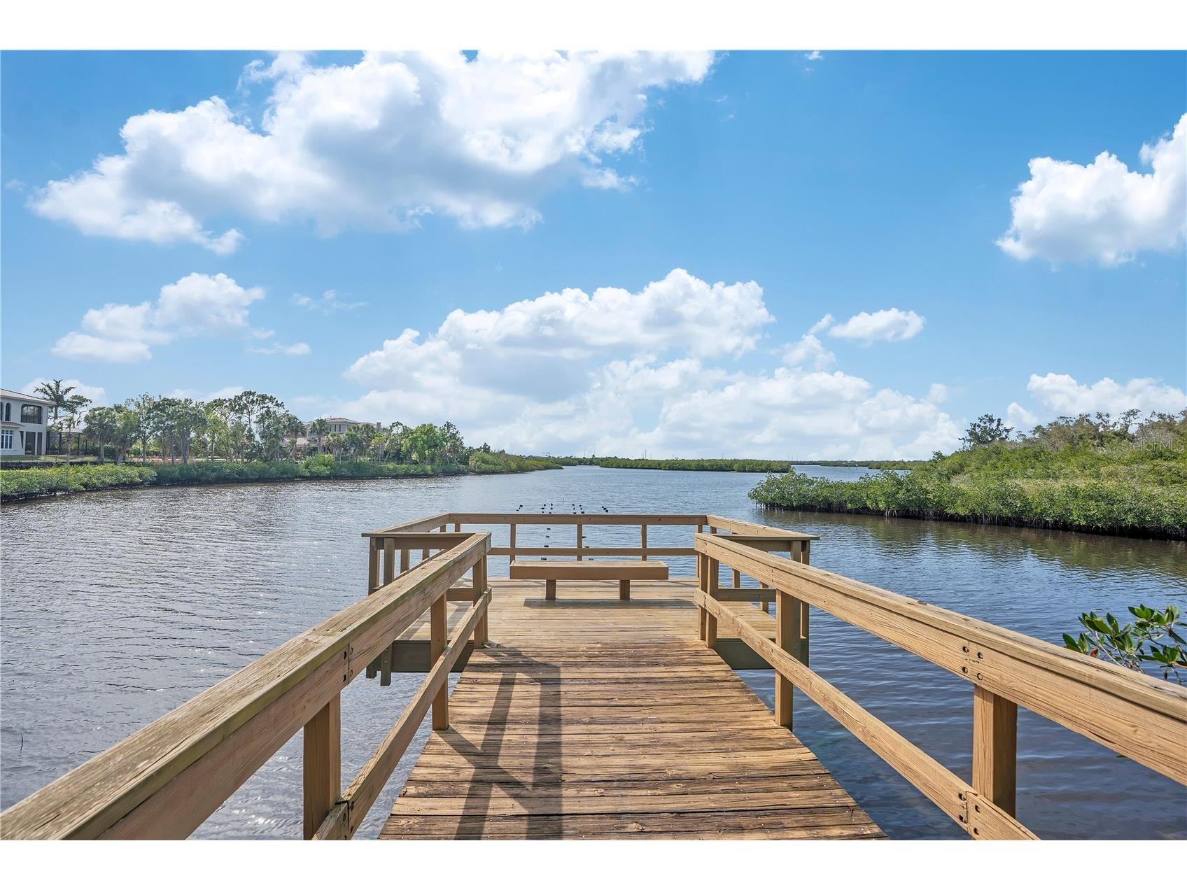 926 River Basin Court #201C Bradenton FL 34212 A4686293 image49
