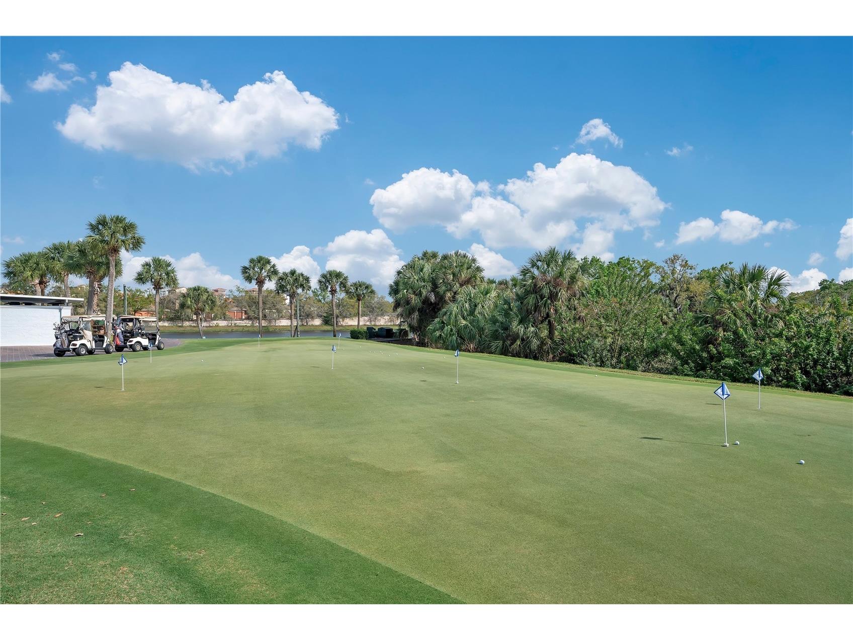 926 River Basin Court #201C Bradenton FL 34212 A4686293 image62