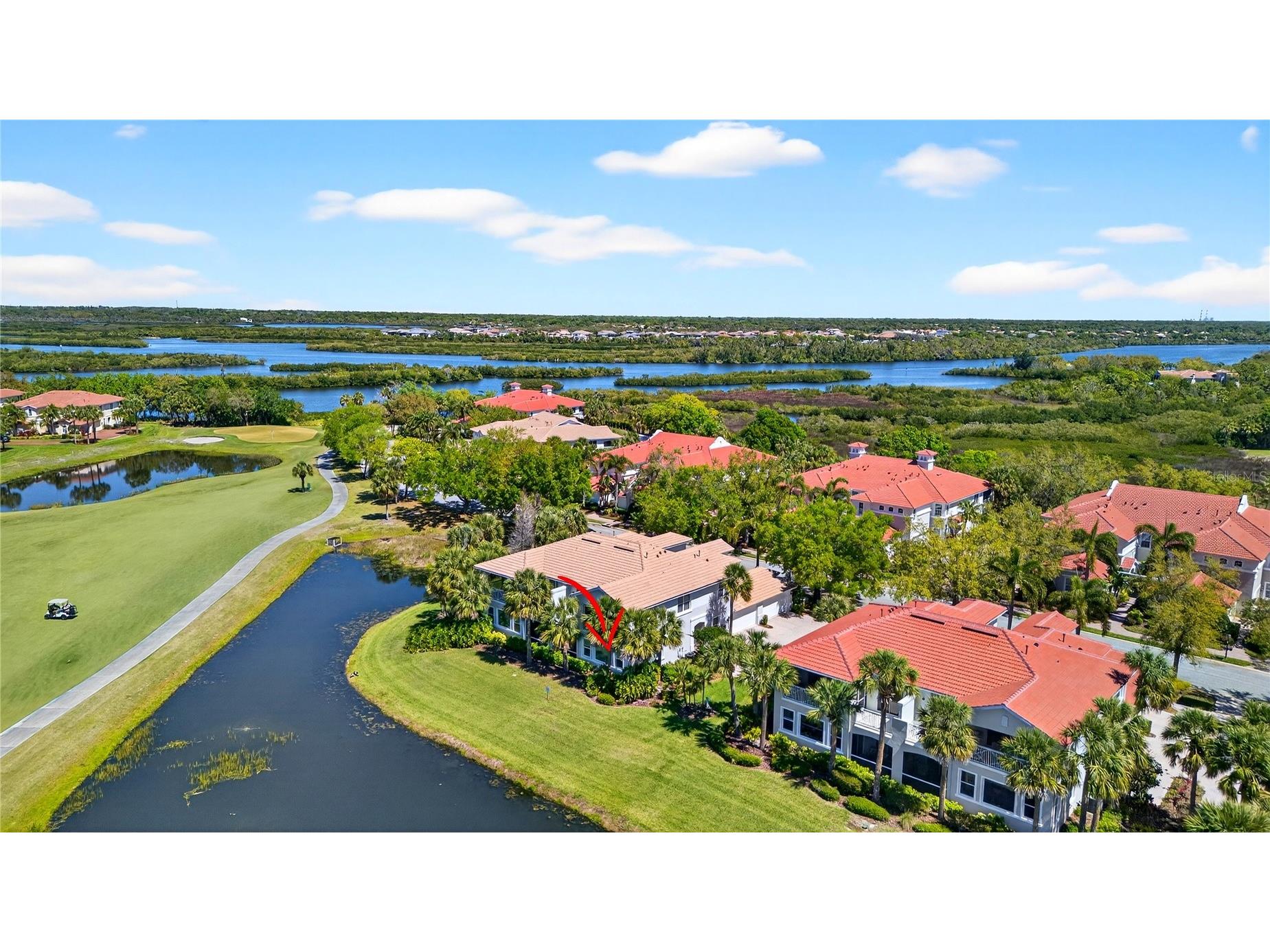 926 River Basin Court #101 Bradenton FL 34212 A4687311 image43