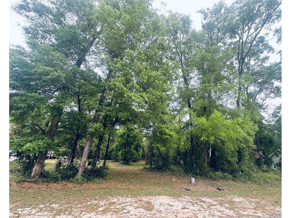 9260 Emily Drive Fanning Springs FL 32693 GC529790 image2