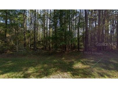 9261 N Athenia Drive Citrus Springs FL 34434 G5101004 image1