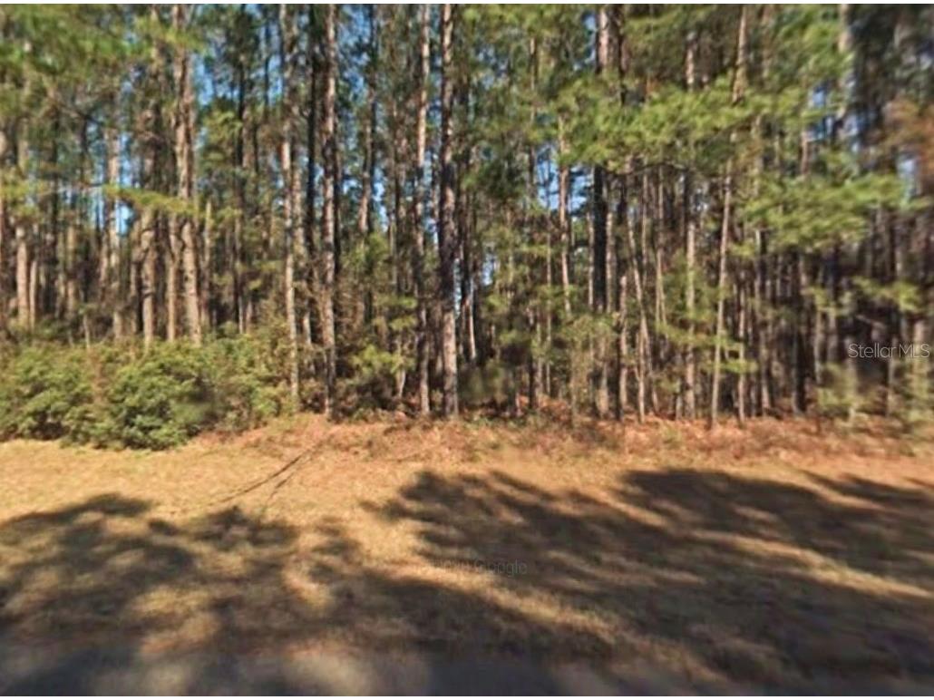 9261 N Athens Drive Citrus Springs FL 34433 C7469927 image1