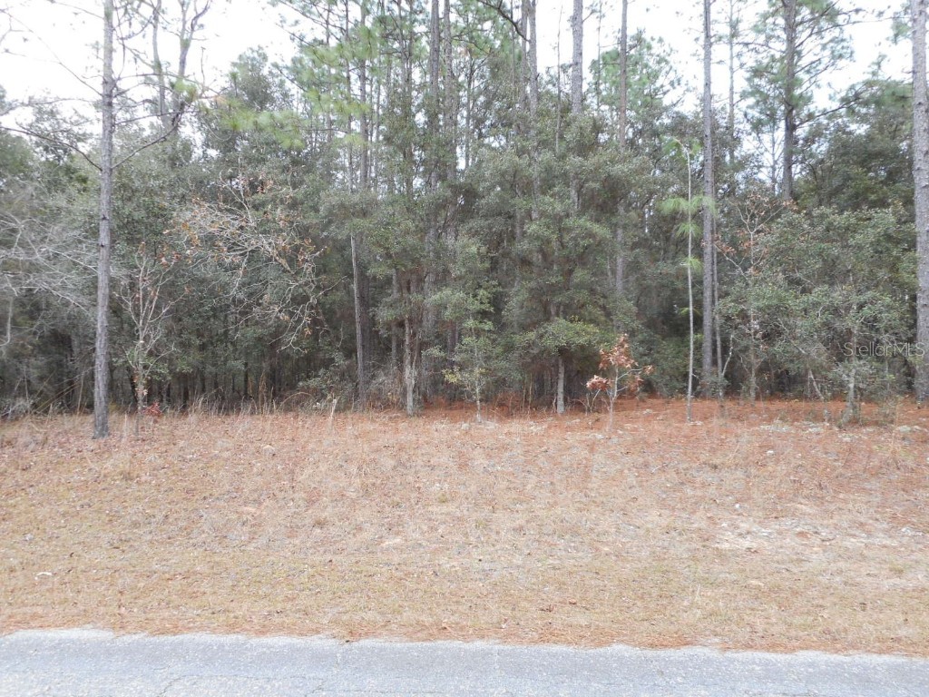 9261 N Lily Drive Citrus Springs FL 34434 OM692811 image1