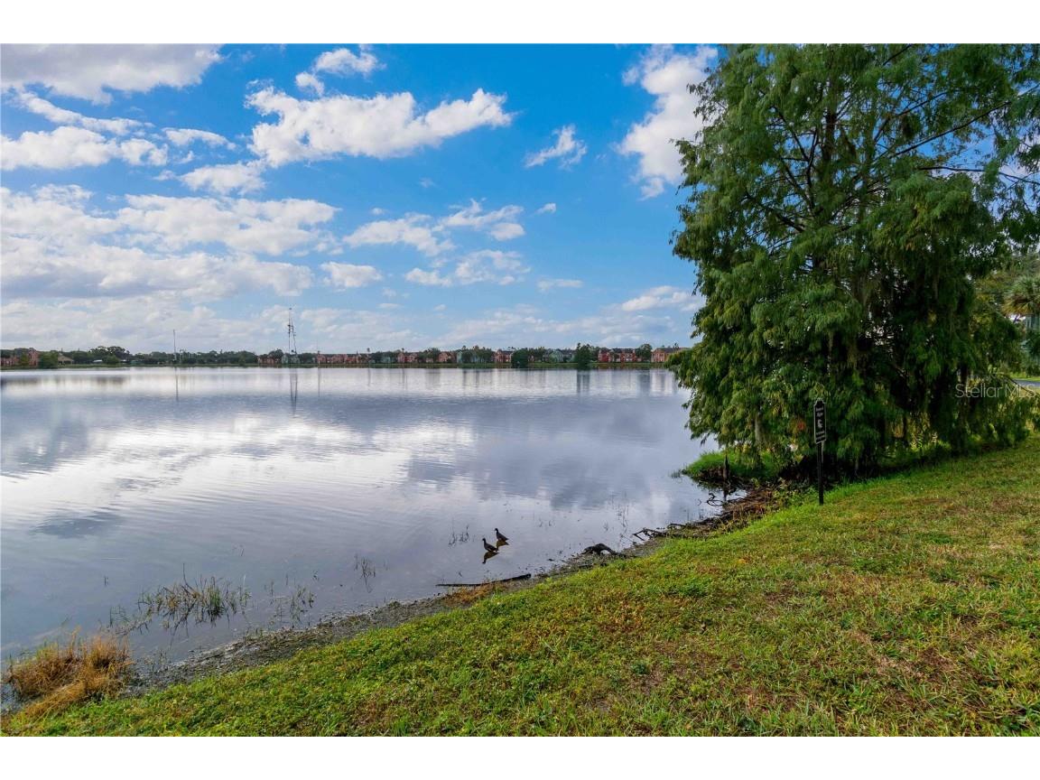9262 Lake Chase Island Way Tampa FL 33626 TB8446671 image41
