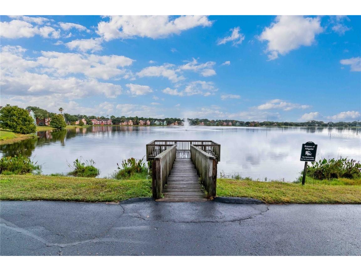 9262 Lake Chase Island Way Tampa FL 33626 TB8446671 image50