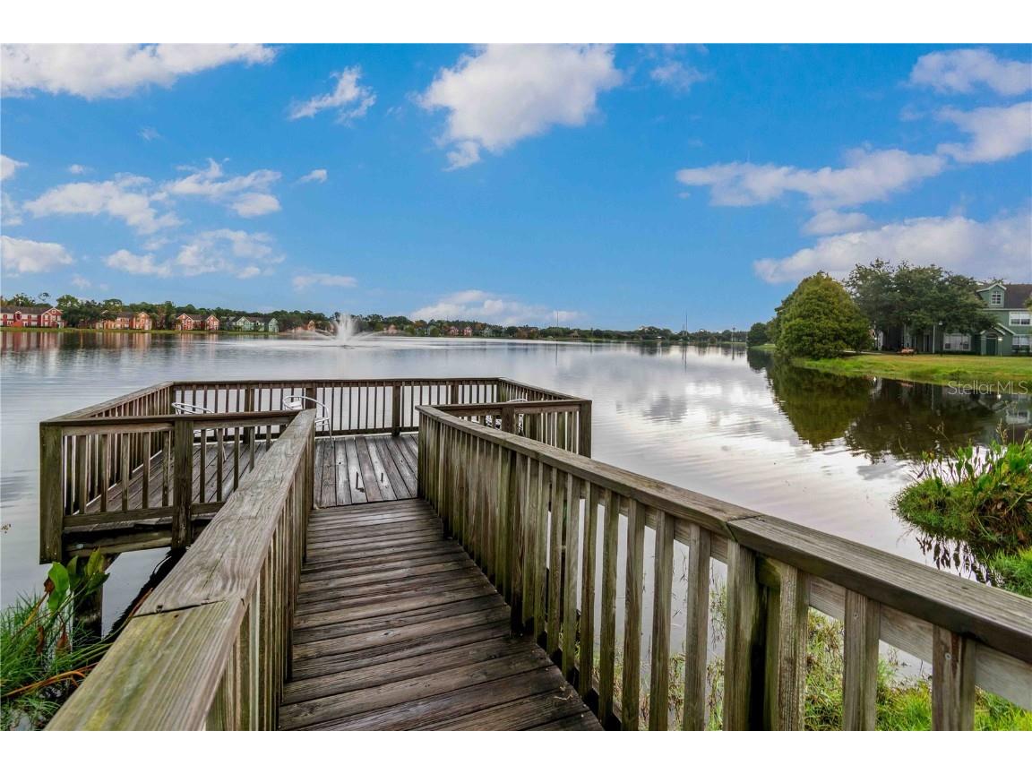 9262 Lake Chase Island Way Tampa FL 33626 TB8446671 image52