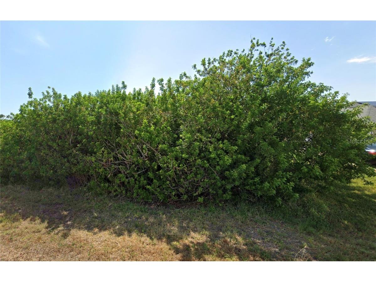 9263 Key West Street Port Charlotte FL 33981 - KEY WEST WATERWAY C7496217 image16