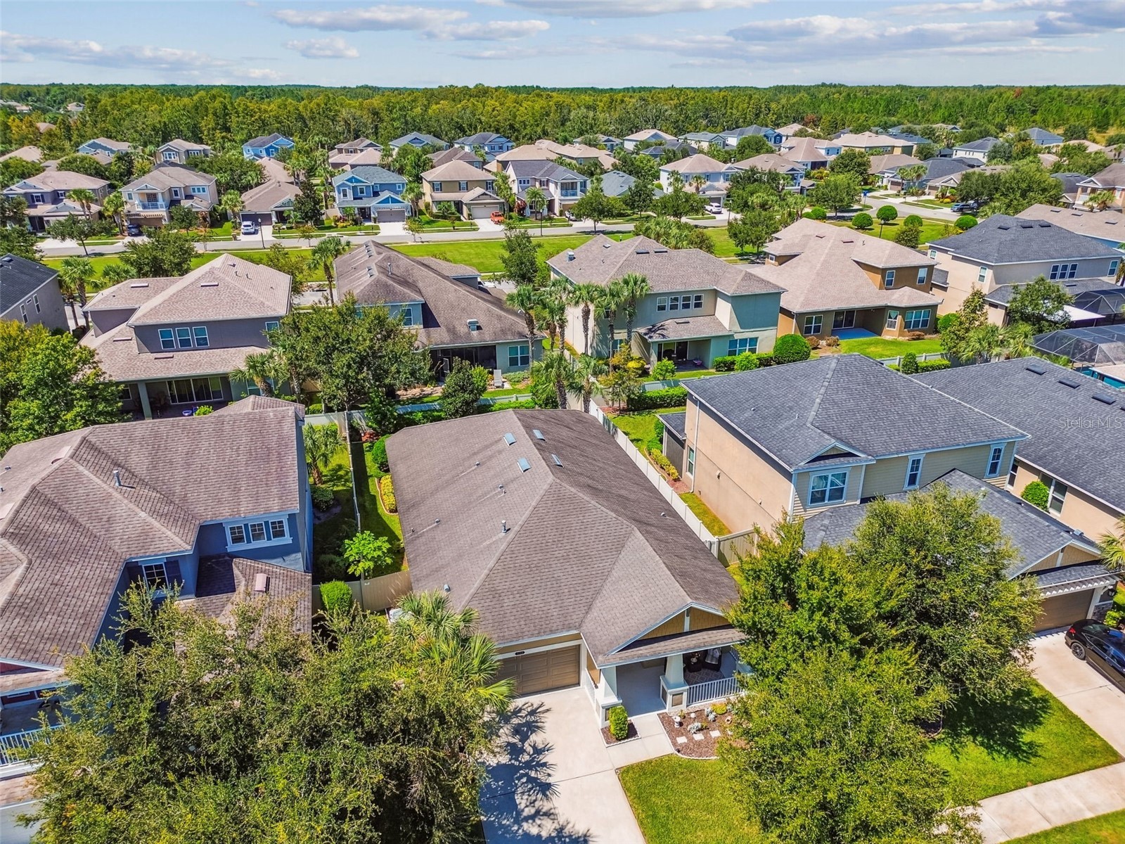 9264 Bella Vita Circle Land O Lakes FL 34637 TB8431571 image52