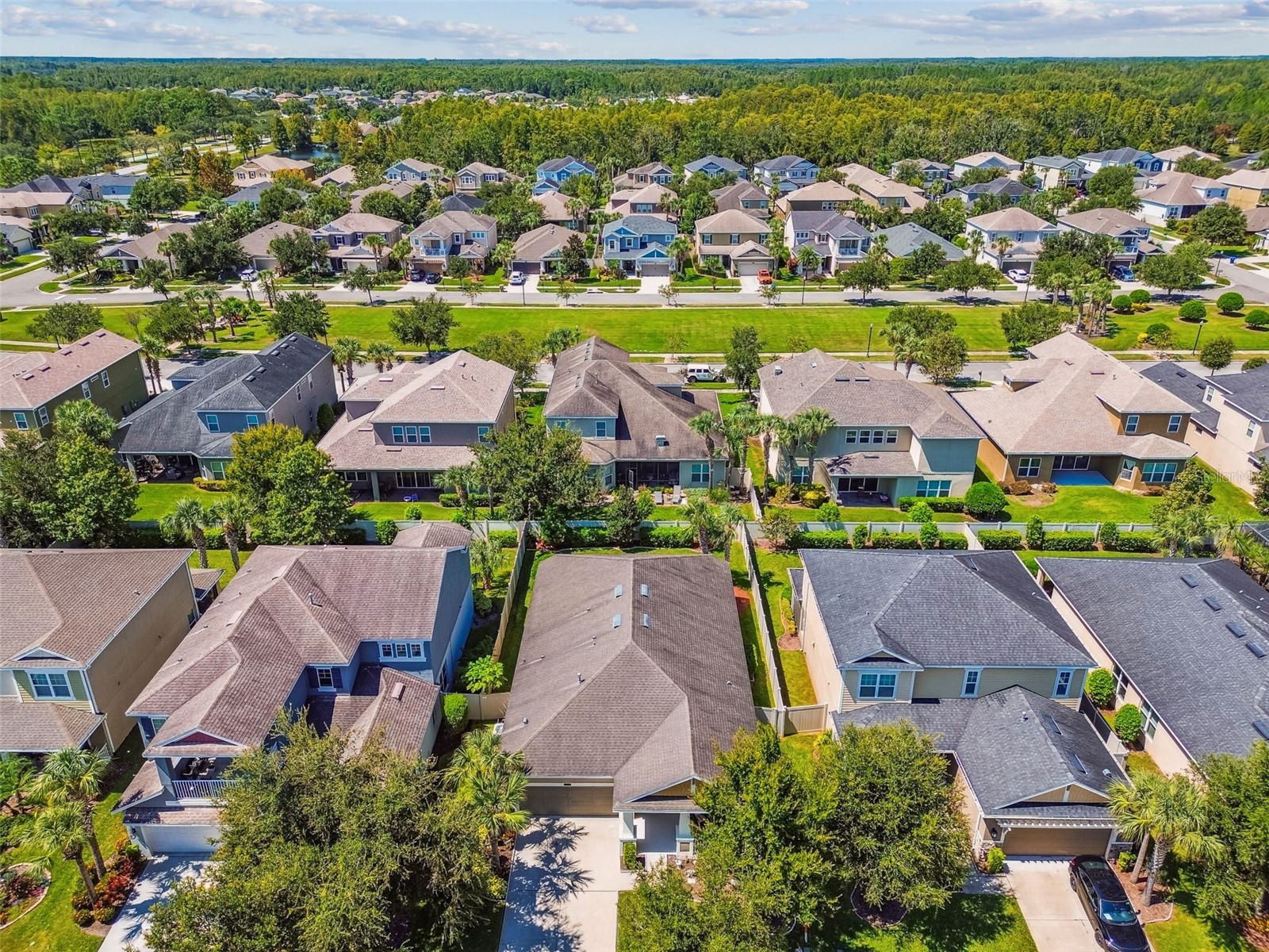 9264 Bella Vita Circle Land O Lakes FL 34637 TB8431571 image53