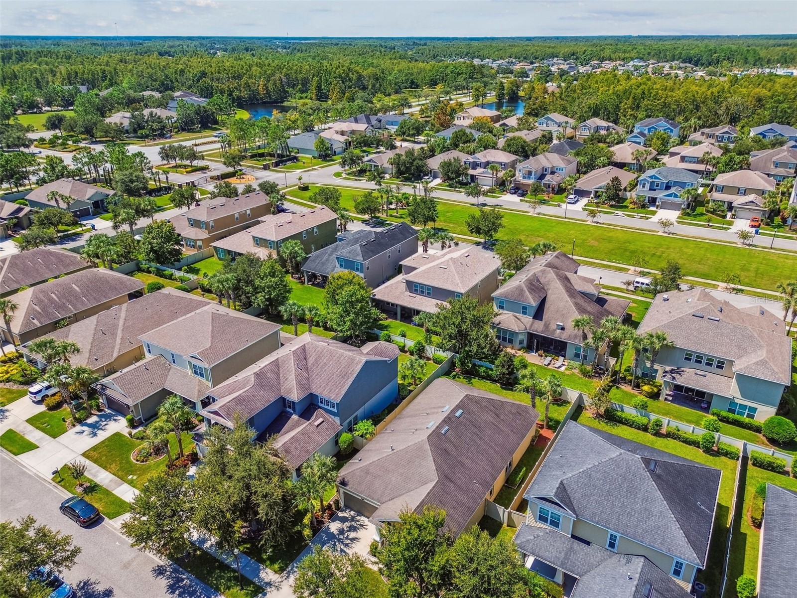 9264 Bella Vita Circle Land O Lakes FL 34637 TB8431571 image54