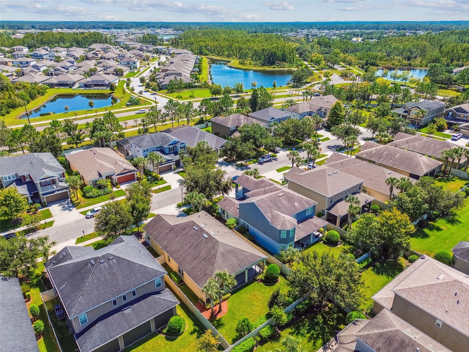 9264 Bella Vita Circle Land O Lakes FL 34637 TB8431571 image58