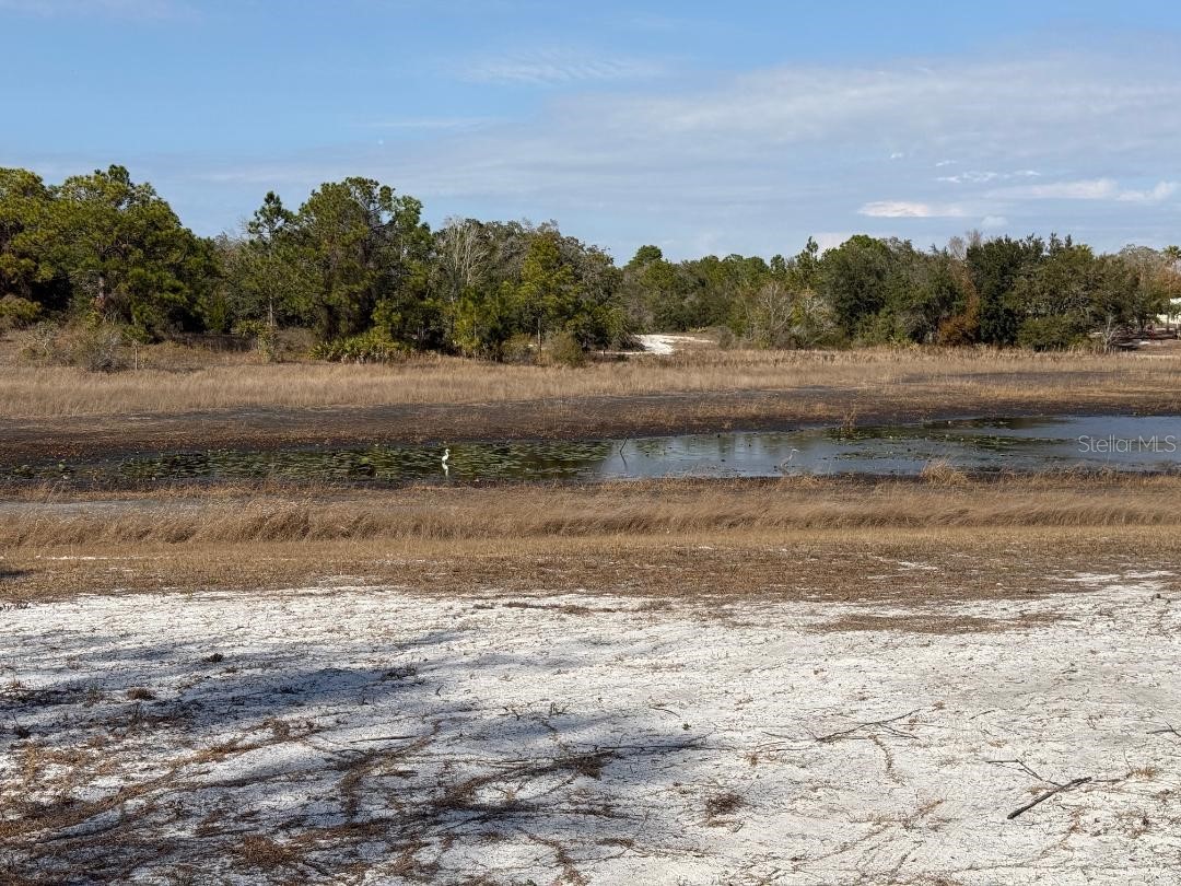 9265 Grizzly Bear Lane Weeki Wachee FL 34613 W7883015 image19