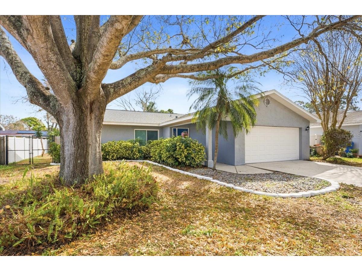 9267 92nd Way Seminole FL 33777 TB8473556 image4