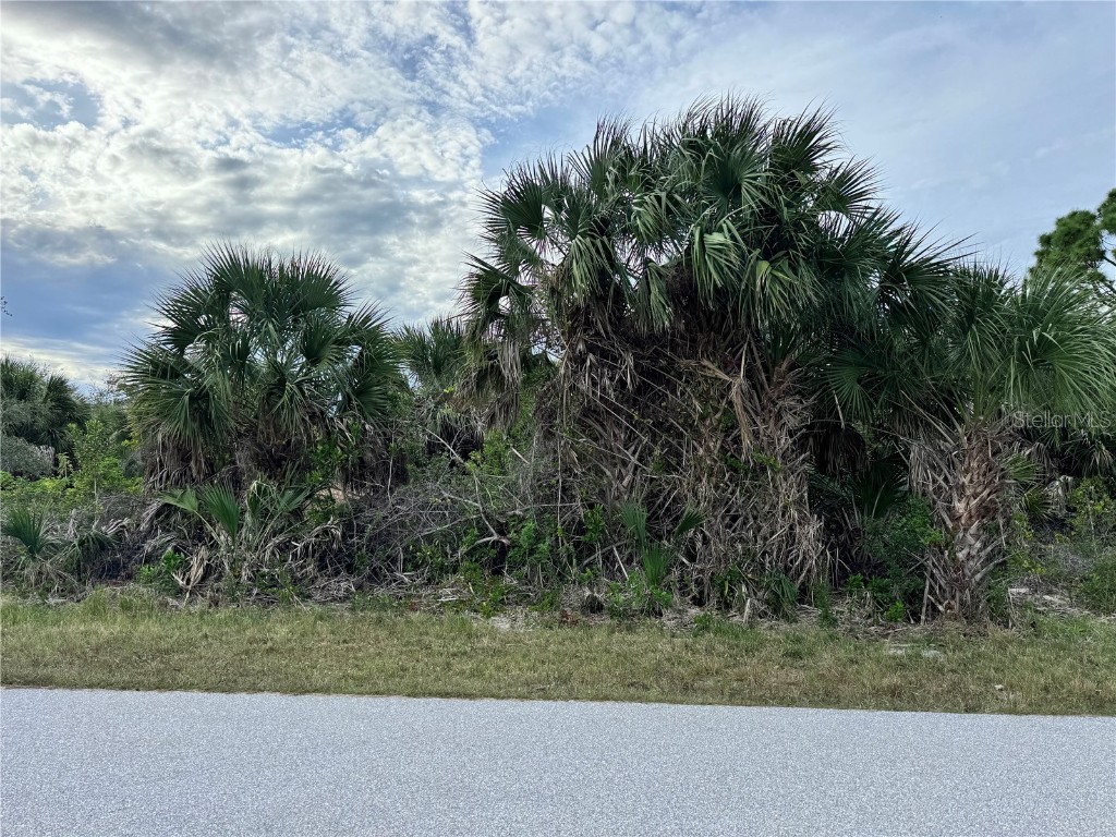 9267 Impala Circle Port Charlotte FL 33981 D6145252 image6