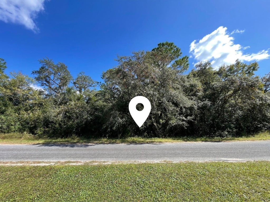 9267 S Longbranch Avenue Inverness FL 34452 W7869073 image1