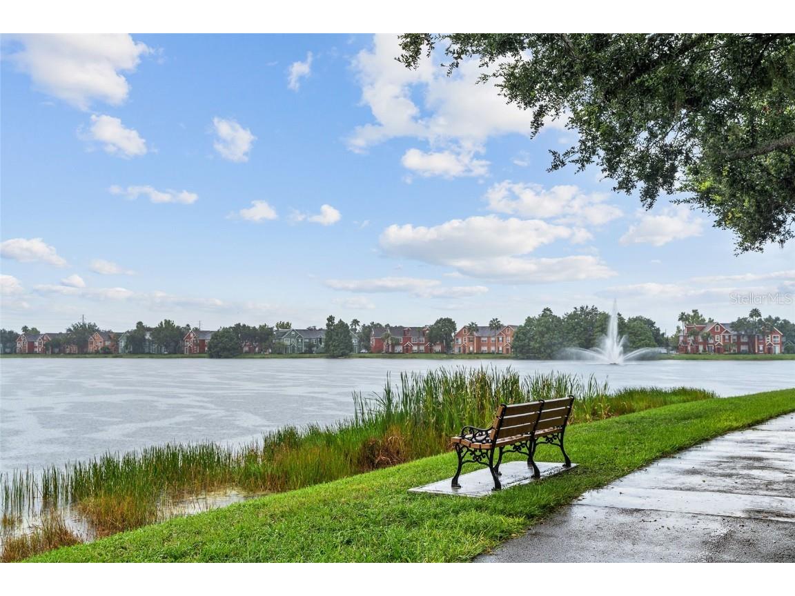 9268 Lake Chase Island Way Tampa FL 33626 TB8409260 image28