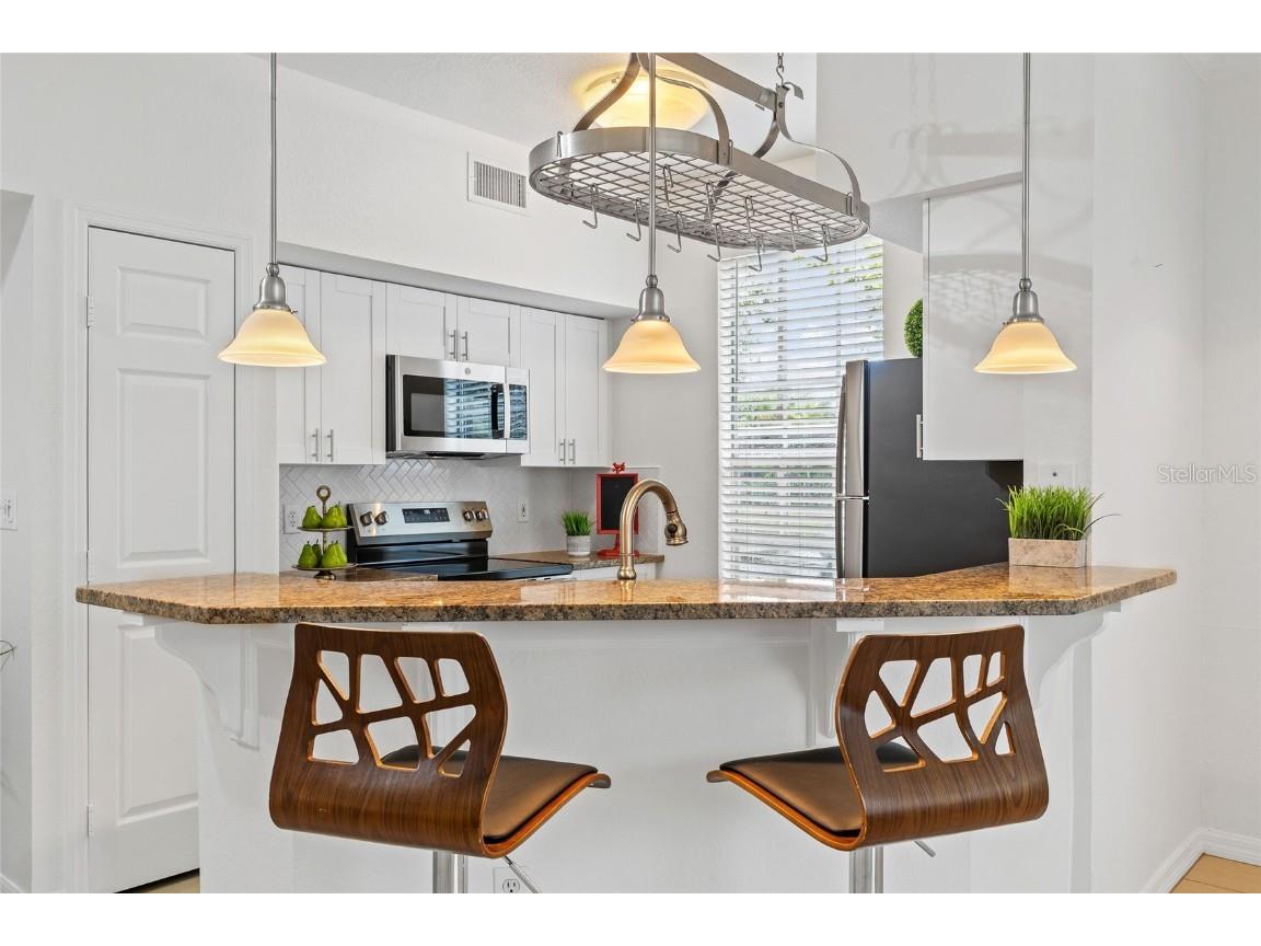 9268 Lake Chase Island Way Tampa FL 33626 TB8409260 image6