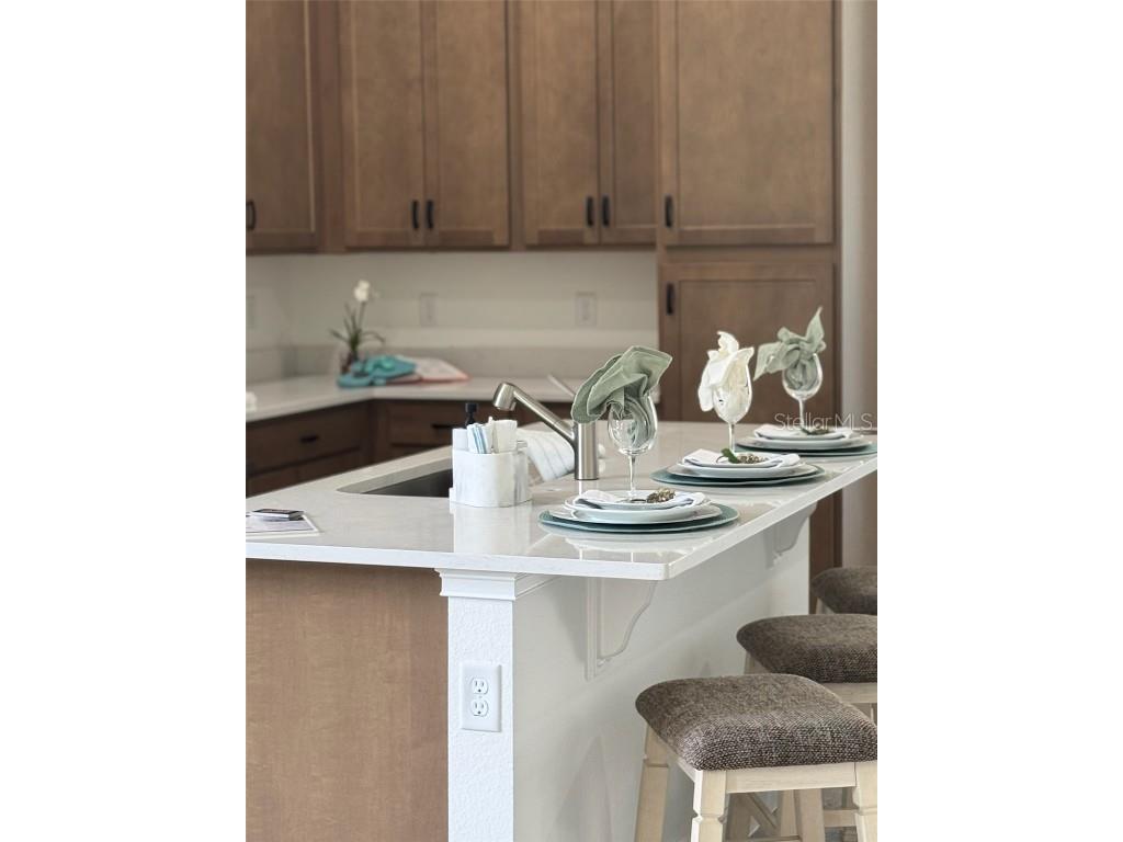 927 Azalea Walk Circle Deland FL 32724 O6352943 image3