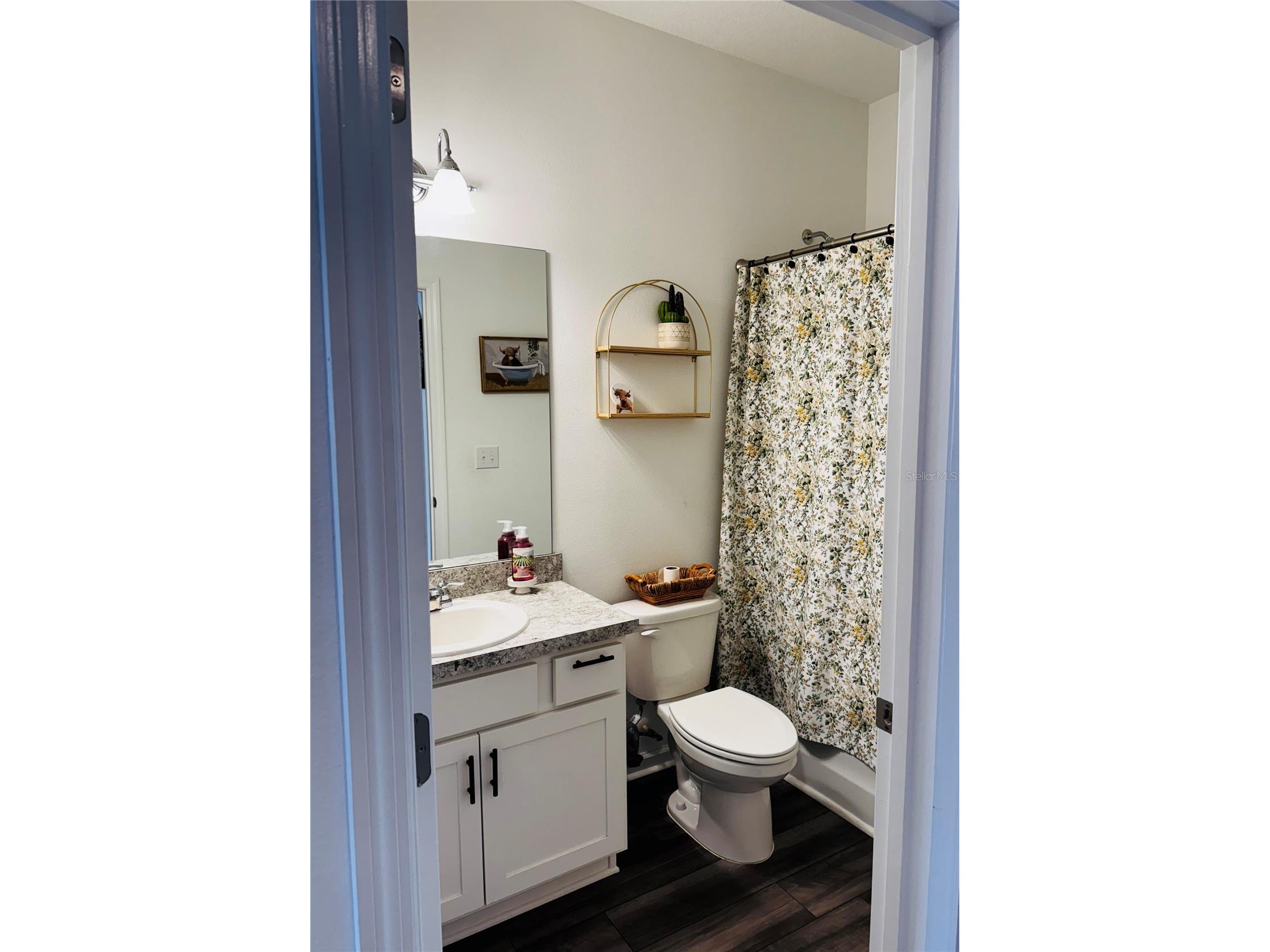 927 Kelly Fern Loop Ruskin FL 33570 TB8487790 image10