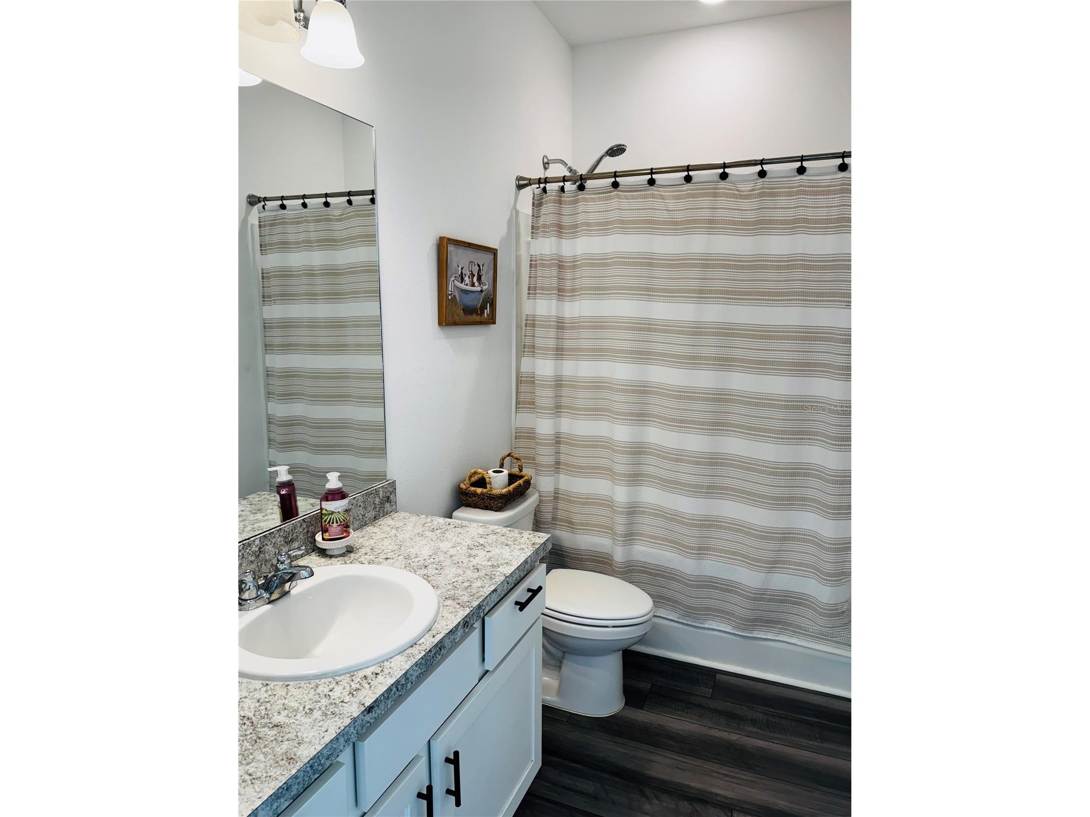 927 Kelly Fern Loop Ruskin FL 33570 TB8487790 image8