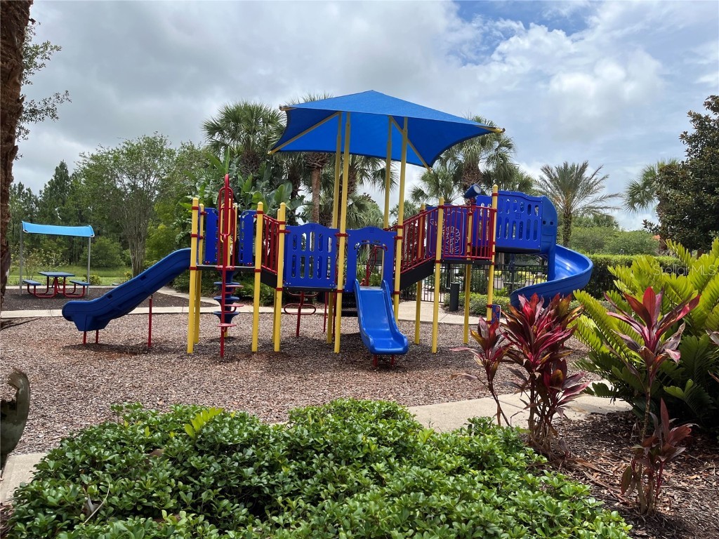 927 Orange Cosmos Boulevard Davenport FL 33837 O6311521 image56