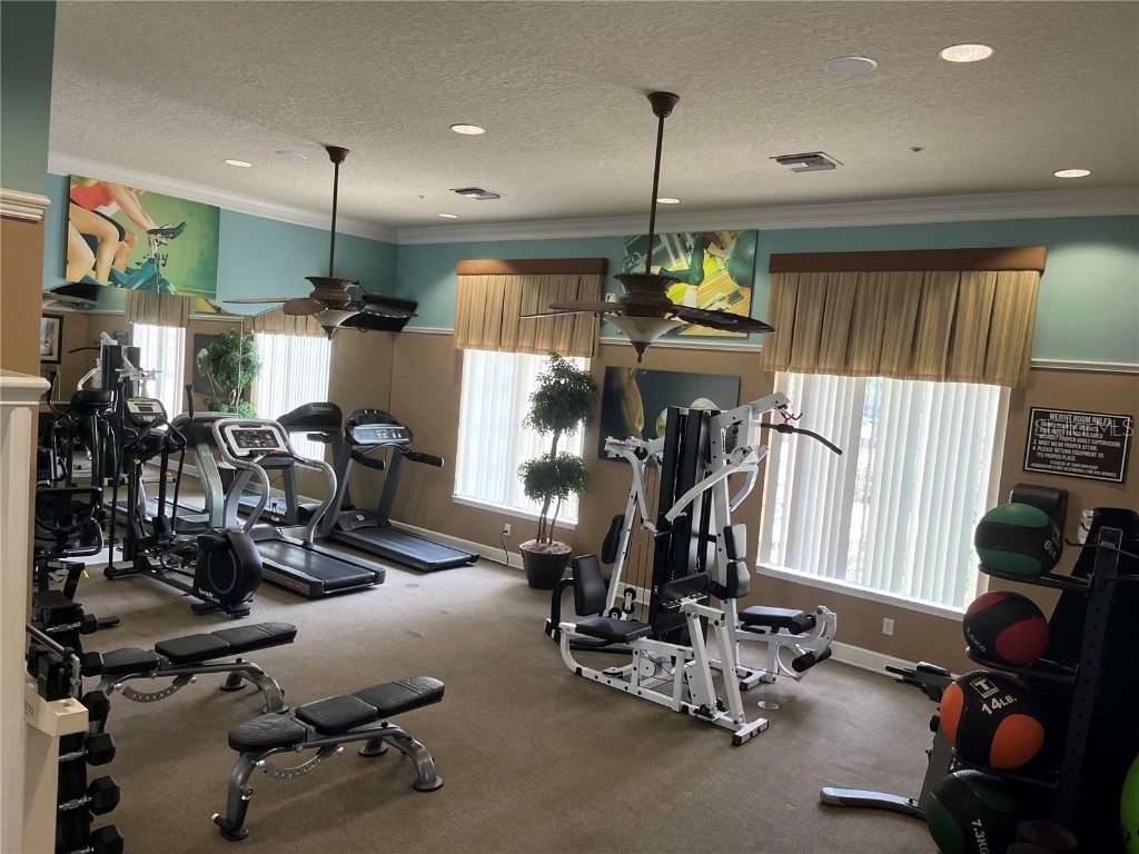 927 Orange Cosmos Boulevard Davenport FL 33837 O6311521 image60