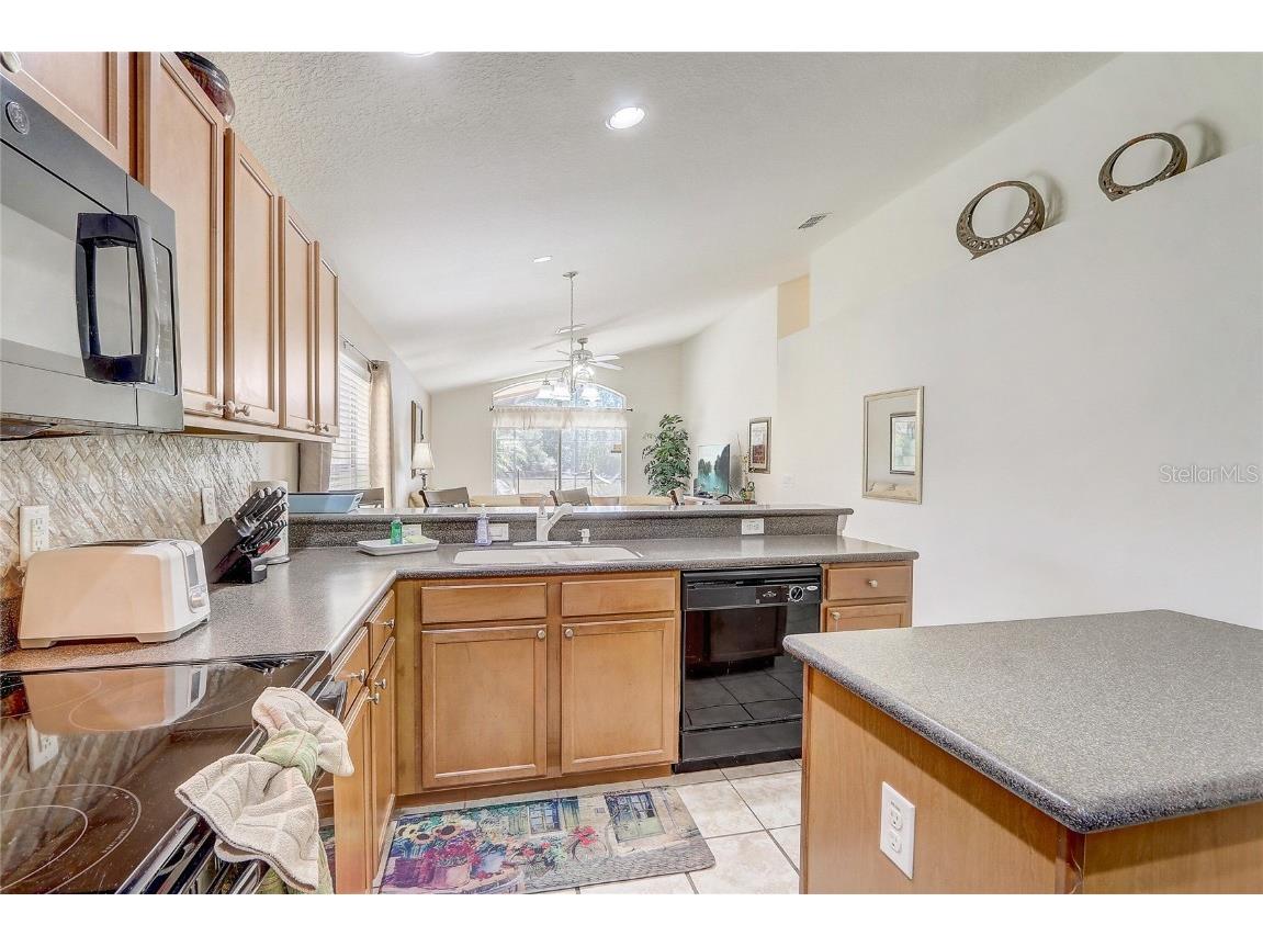 927 Orange Cosmos Boulevard Davenport FL 33837 O6311521 image8