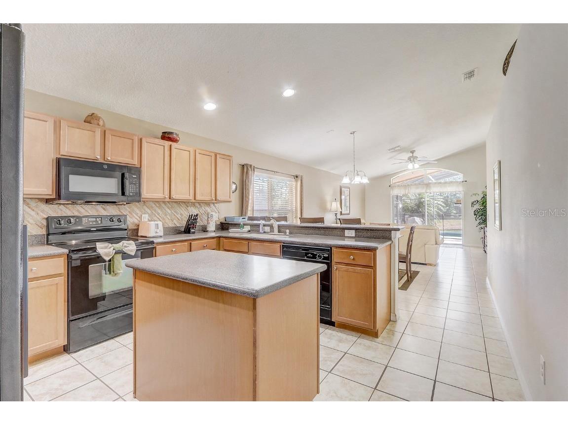 927 Orange Cosmos Boulevard Davenport FL 33837 O6311521 image9