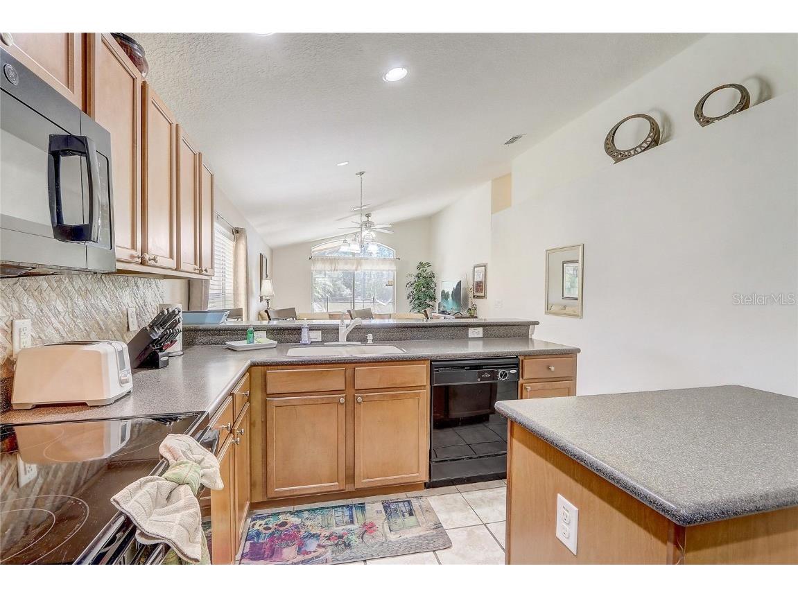 927 Orange Cosmos Boulevard Davenport FL 33837 O6352770 image15