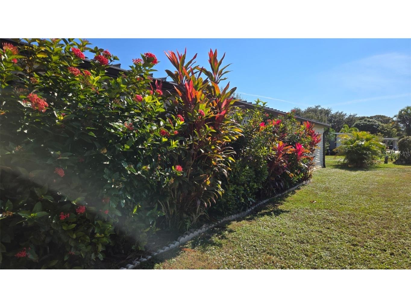 927 Yew Street Sebastian FL 32976 O6365775 image35