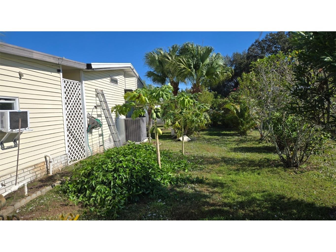 927 Yew Street Sebastian FL 32976 O6365775 image38