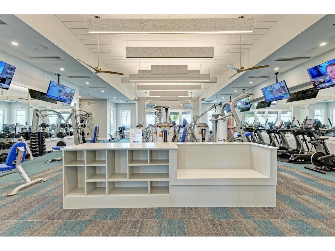 9272 Ballaster Pointe Loop Parrish FL 34219 O6355668 image73