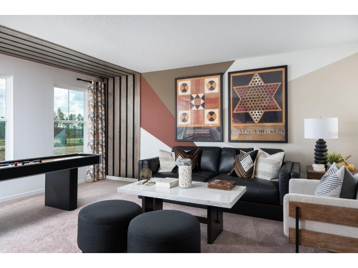 9272 Pavilion Shade Drive Zephyrhills FL 33541 TB8447567 image10