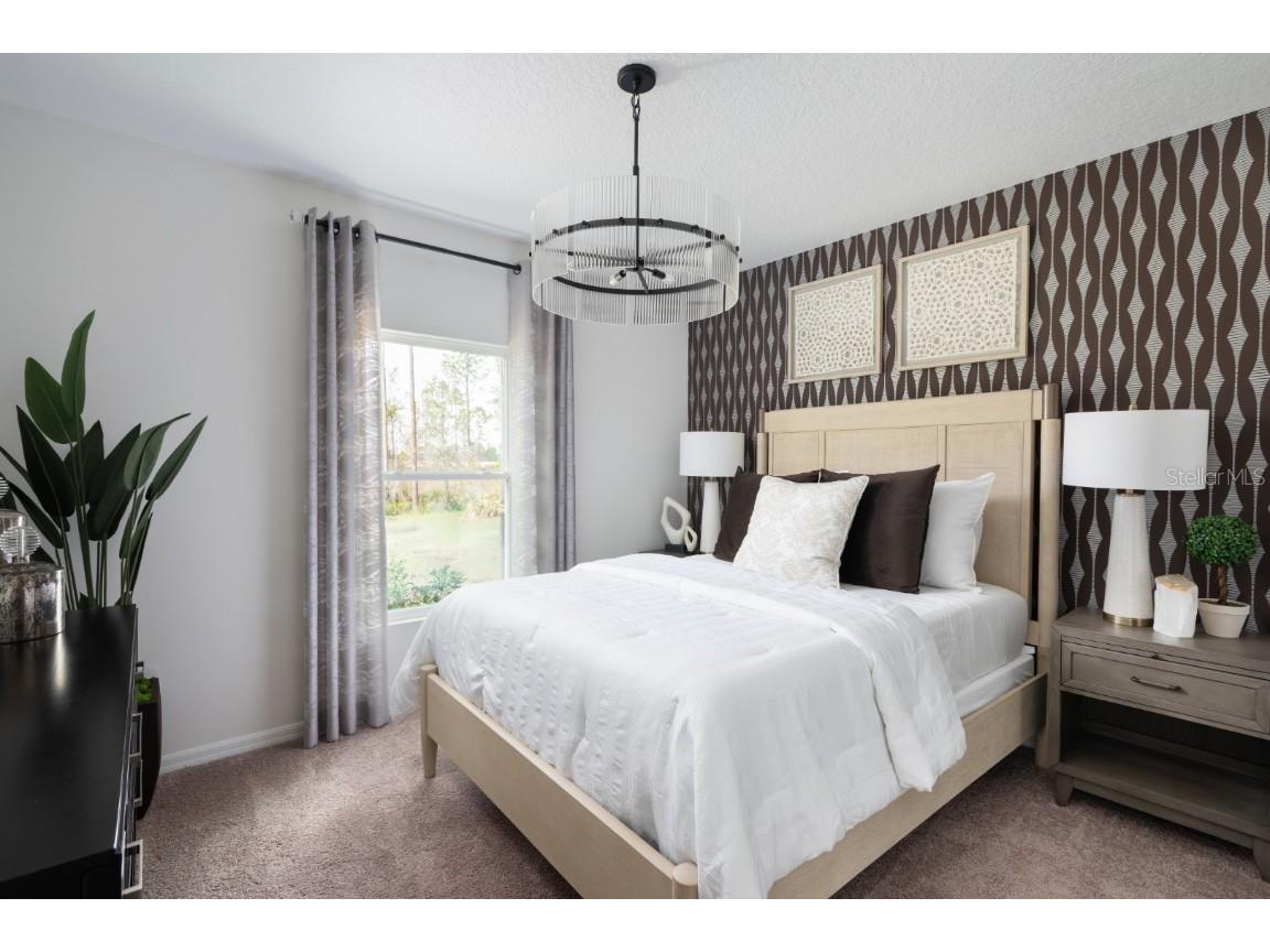 9272 Pavilion Shade Drive Zephyrhills FL 33541 TB8447567 image21