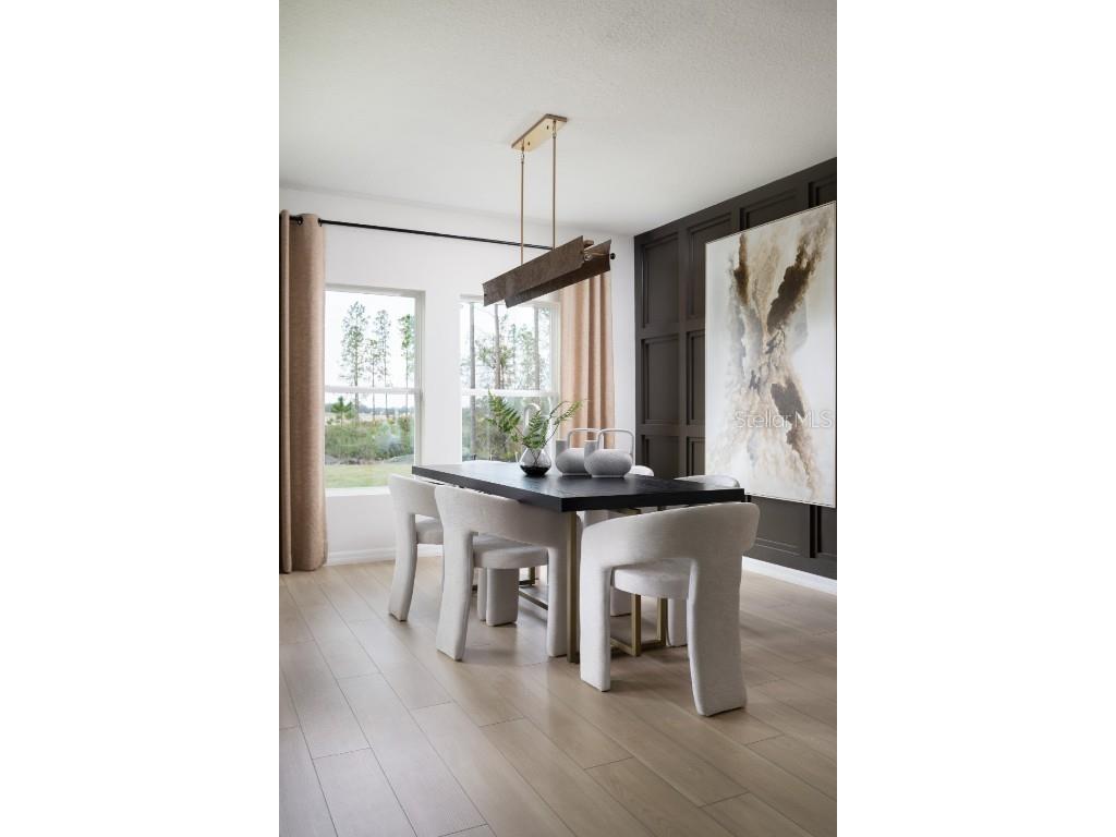 9272 Pavilion Shade Drive Zephyrhills FL 33541 TB8447567 image7