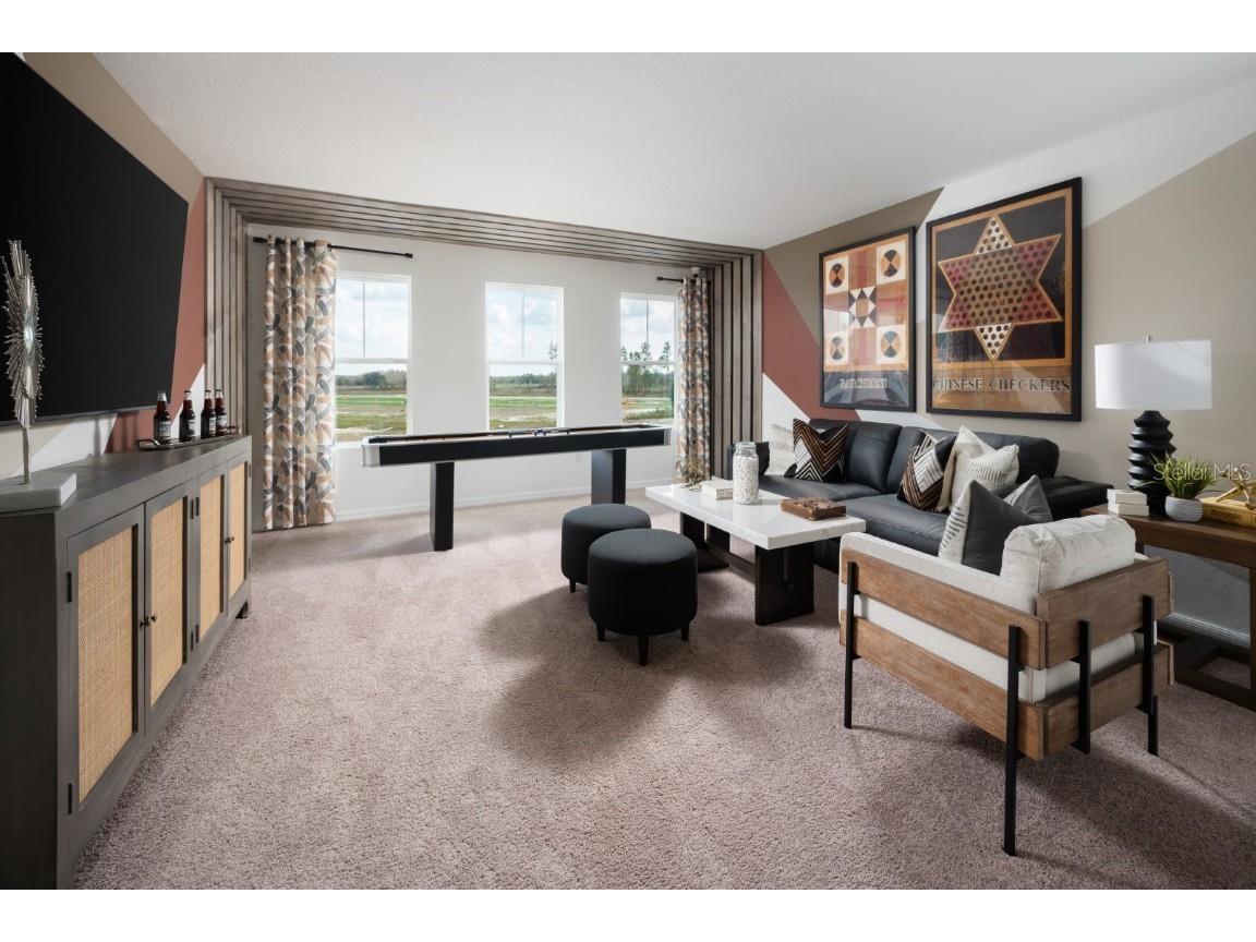 9272 Pavilion Shade Drive Zephyrhills FL 33541 TB8447567 image9