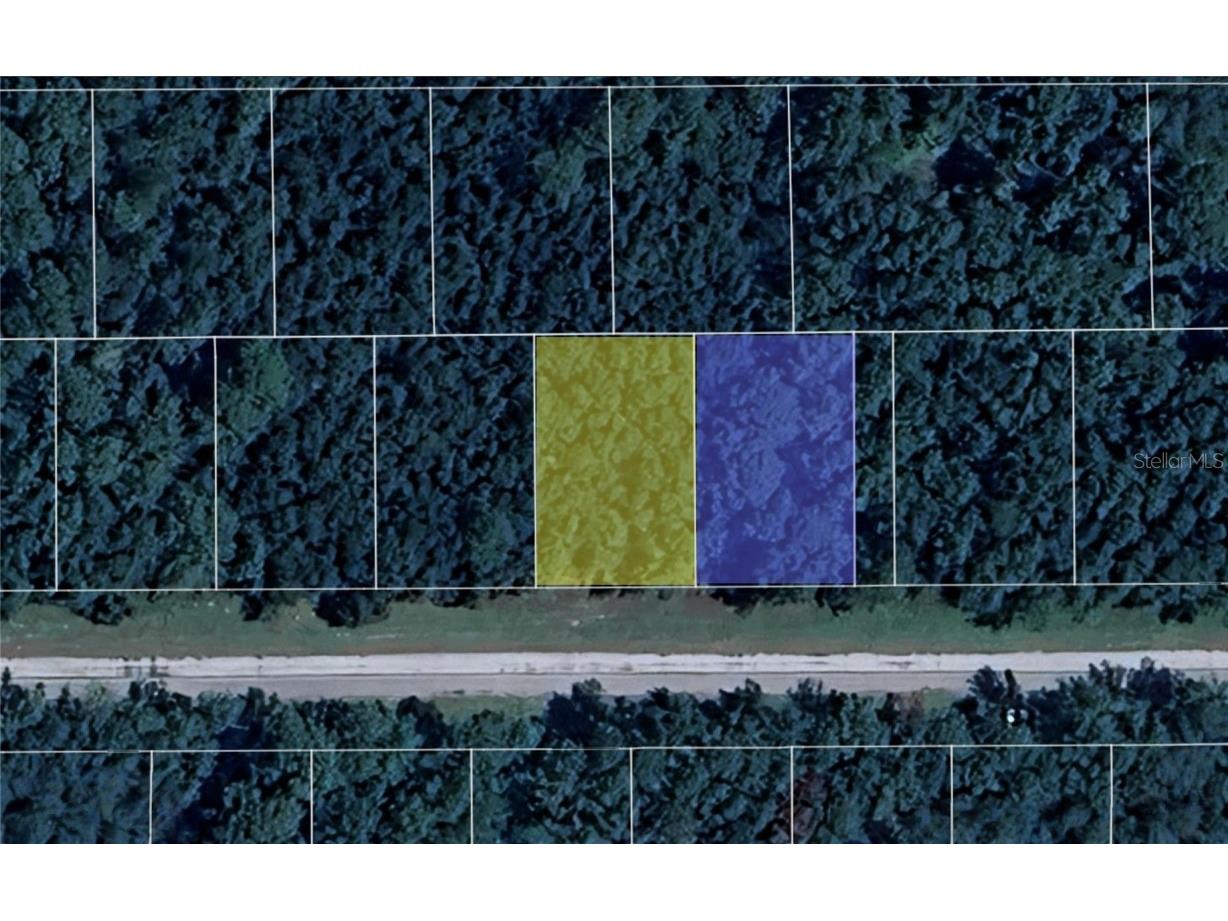 9273 N Athenia Drive Dunnellon FL 34434 TB8450258 image1