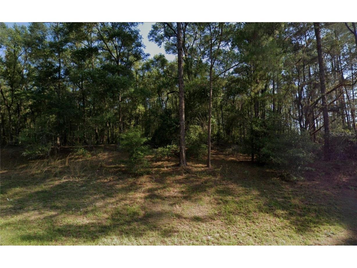 9273 N Athenia Drive Dunnellon FL 34434 TB8450258 image2