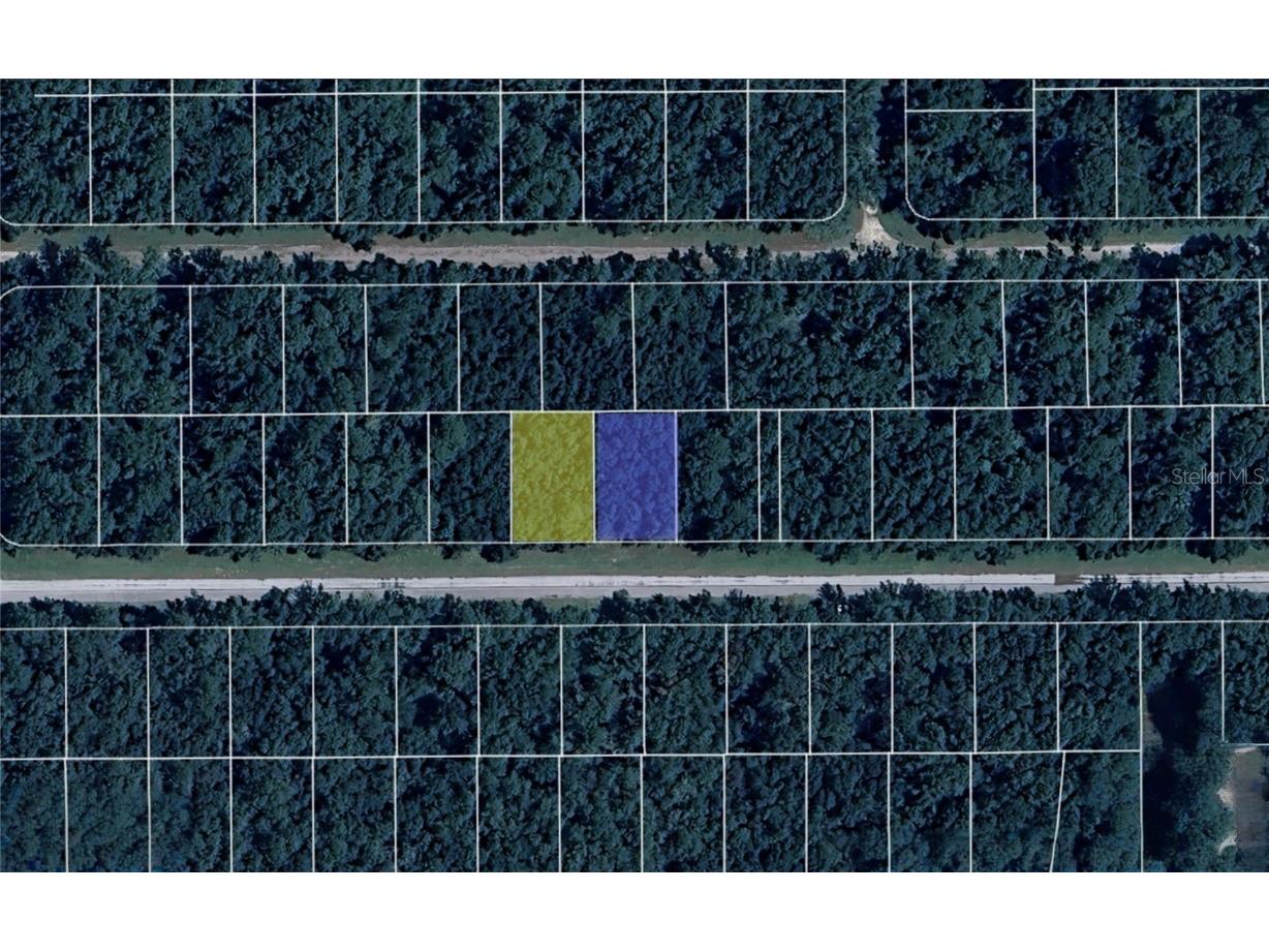 9273 N Athenia Drive Dunnellon FL 34434 TB8450258 image3