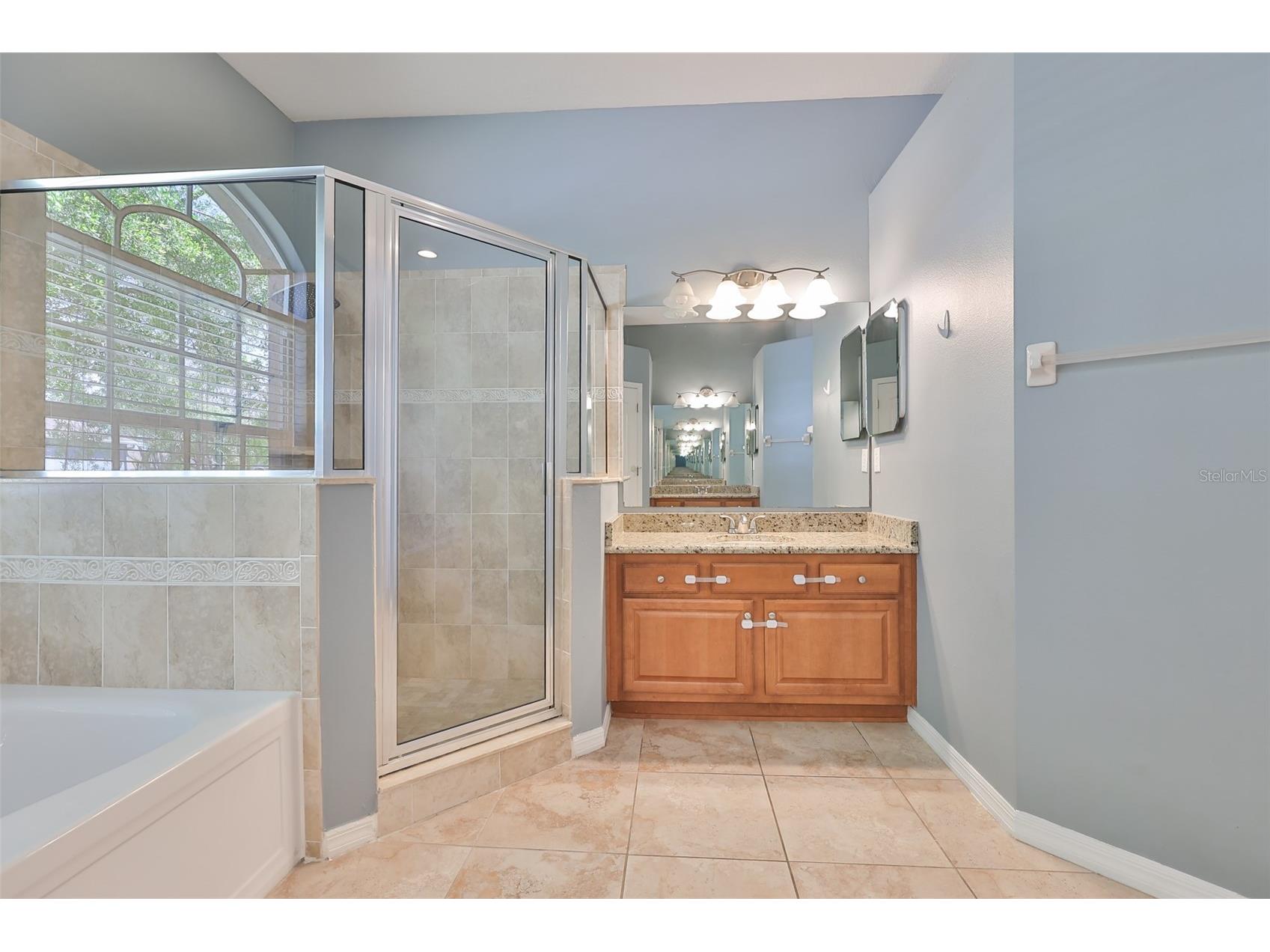 9274 Estate Cove Circle Riverview FL 33578 TB8489489 image24