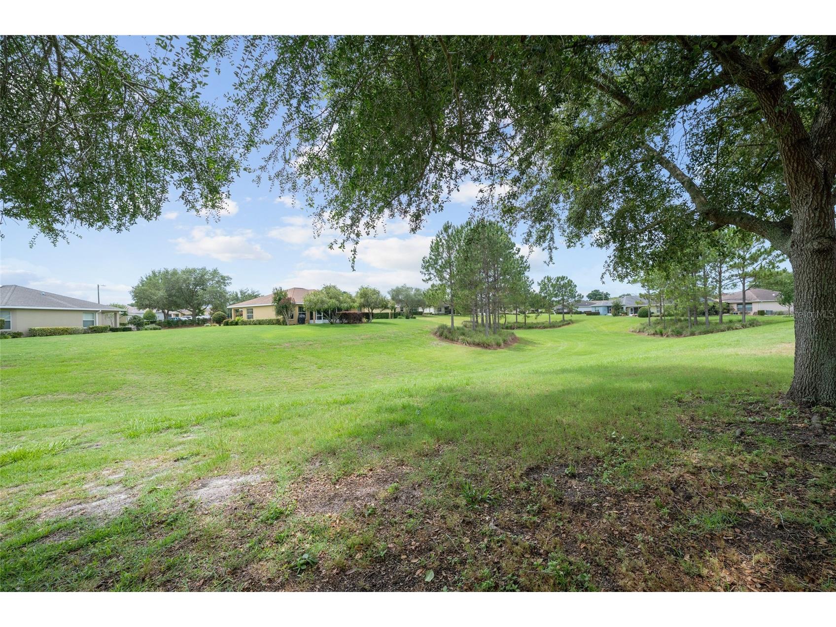 9274 SW 94th Loop Ocala FL 34481 OM725921 image11