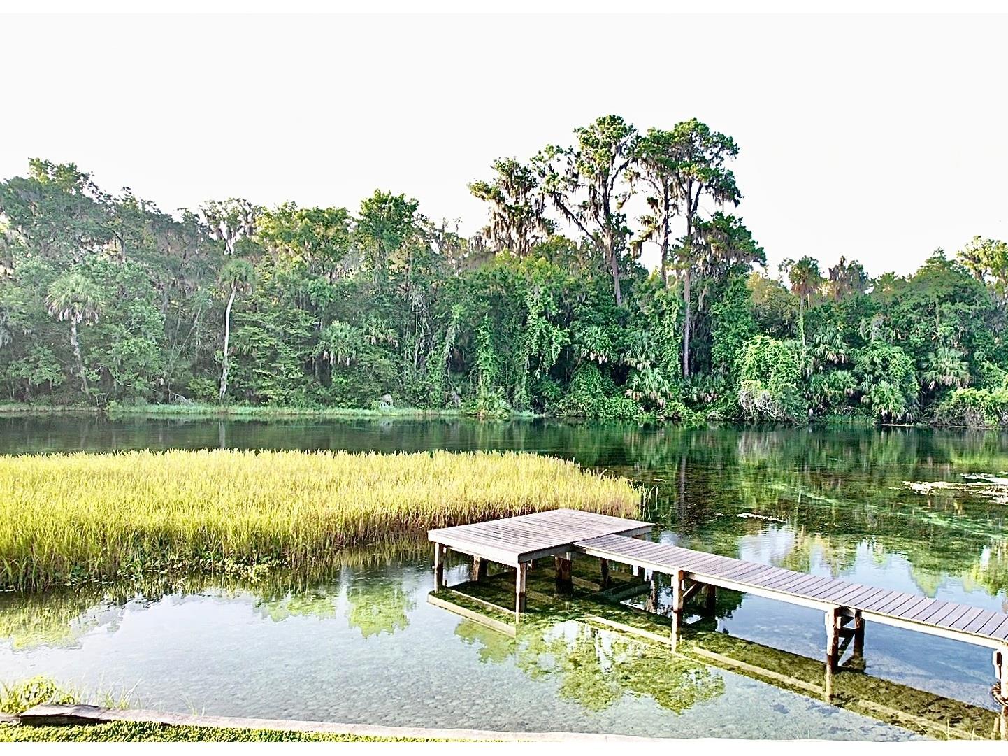  Dunnellon FL 34432 - RAINBOW RIVER OM728150 image50
