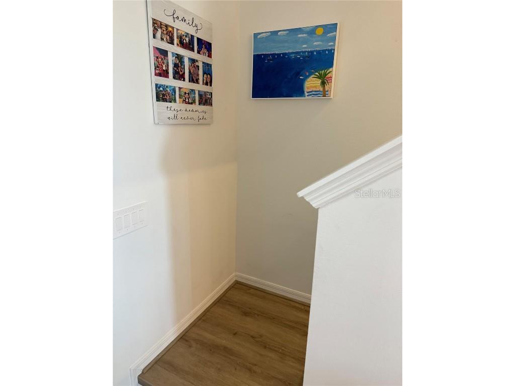 9276 Bonita Mar Drive Parrish FL 34219 O6339396 image10