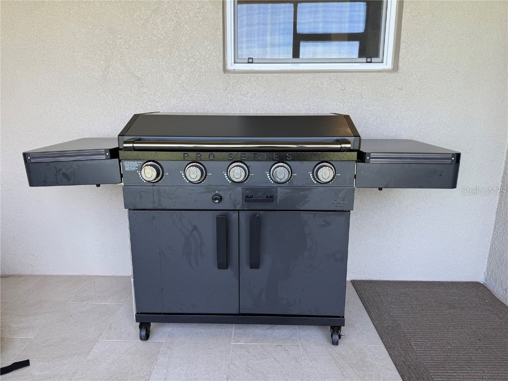 9276 Bonita Mar Drive Parrish FL 34219 O6339396 image47