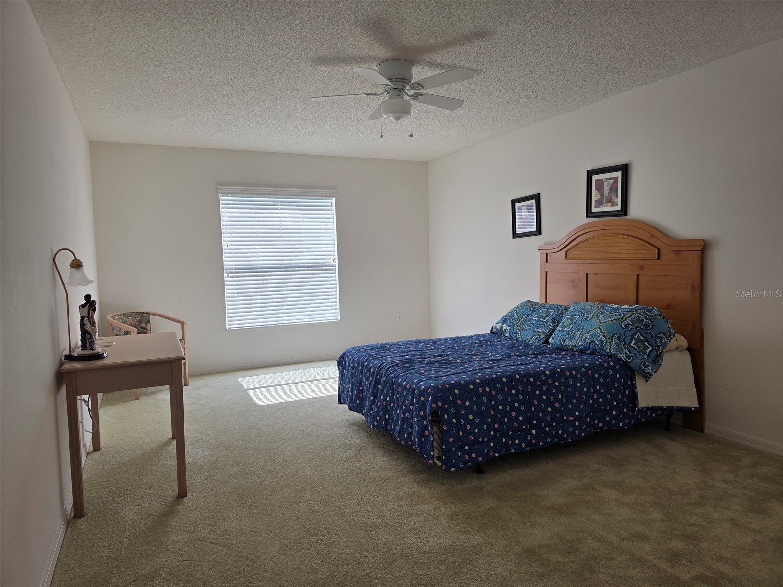 9276 Elm Court Spring Hill FL 34606 W7884767 image22